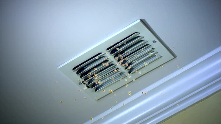 Best Ductwork Cleaning Services  in Seagraves, TX