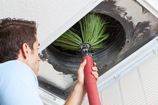 Best Best Air Duct Cleaning Company  in Seagraves, TX